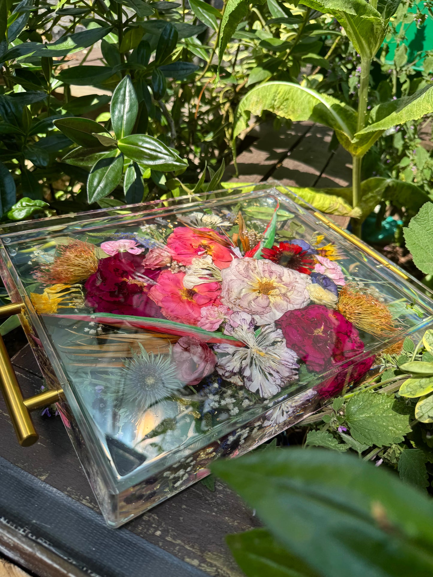 Resin Tray
